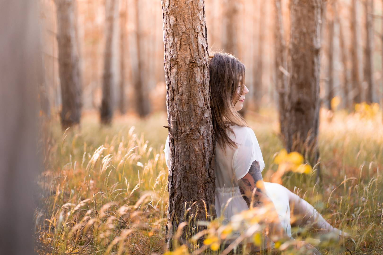 Die Ruhe im Wald