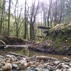 Die Ruhe liegt im Stein 