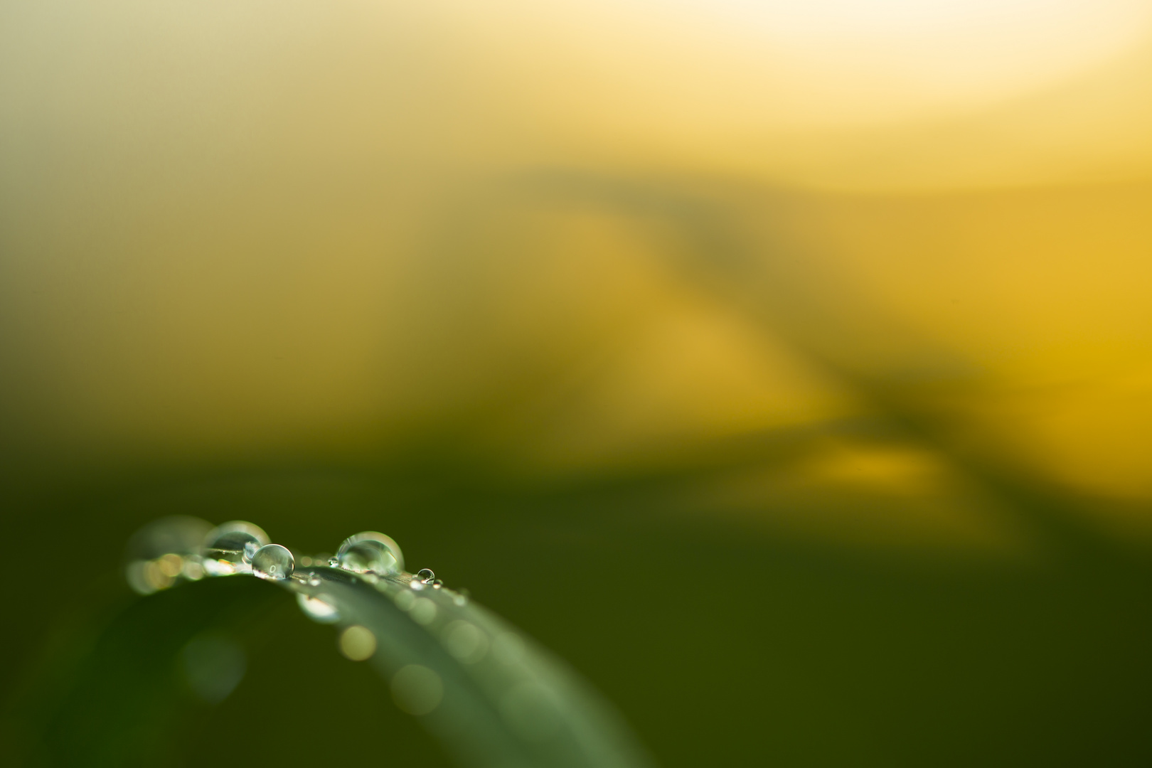 Die Ruhe nach dem Regen