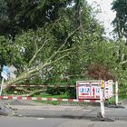 Die Ruhe nach dem Sturm, 20 Stunden später