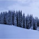 Die Ruhe nach dem Sturm