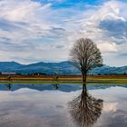 die Ruhe nach dem Sturm