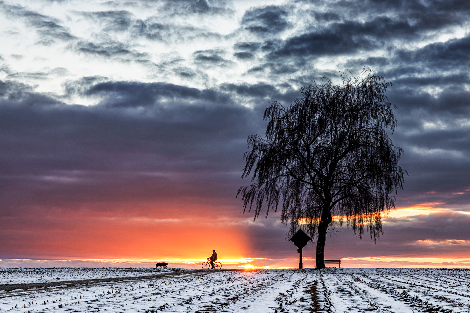 die ruhe nach dem sturm