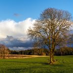 Die Ruhe nach dem Sturm...