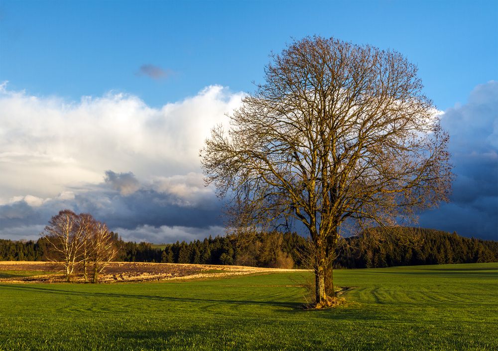 Die Ruhe nach dem Sturm... Foto & Bild landschaft, landschaftsfotos