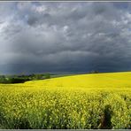 Die Ruhe nach dem Sturm....