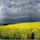 Die Ruhe nach dem Sturm....