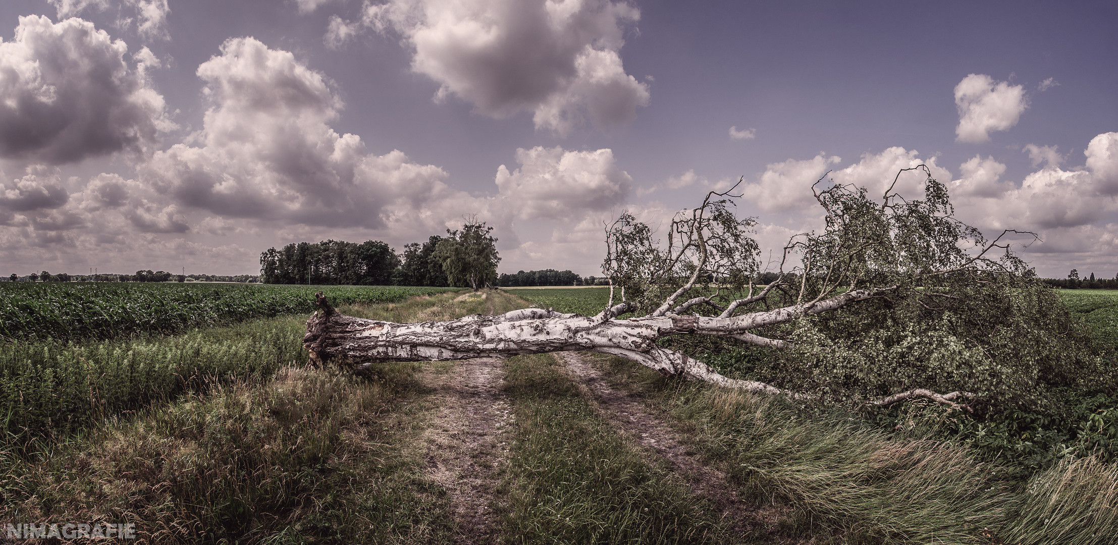 Die Ruhe nach dem Sturm