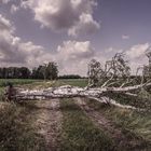 Die Ruhe nach dem Sturm