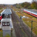 Die Ruhe nach dem Sturm in Flensburg 4