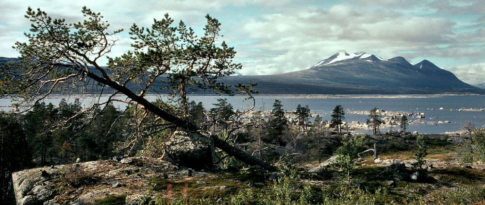 Die Ruhe nach dem Sturm - Naturgewalt und Naturschönheit