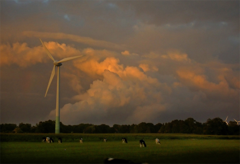 Die Ruhe vor dem Sturm