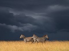 Die Ruhe vor dem Sturm