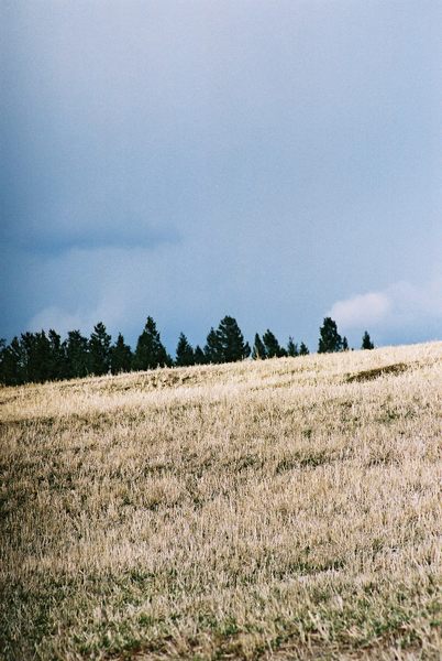 Die Ruhe vor dem Sturm