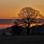 Die Ruhe vor dem Sturm .....