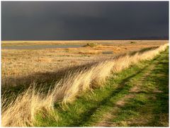 Die Ruhe vor dem Sturm