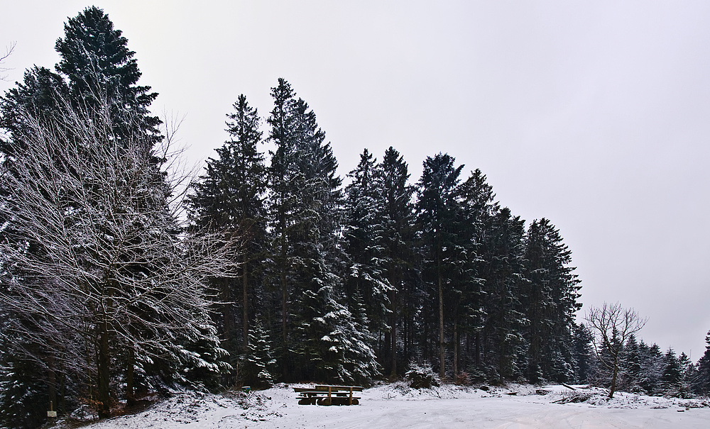 Die Ruhe vor dem Sturm