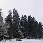 Die Ruhe vor dem Sturm