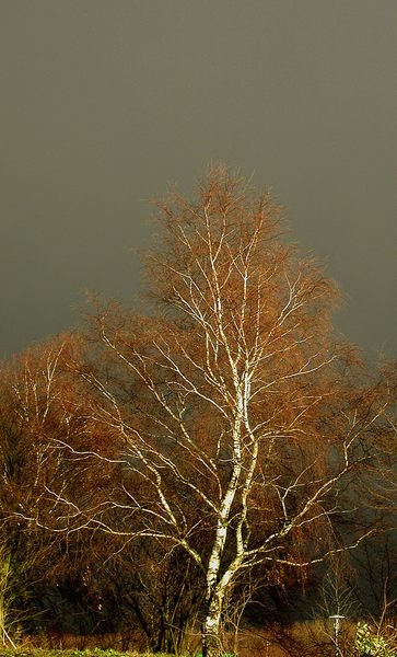 Die Ruhe vor dem Sturm