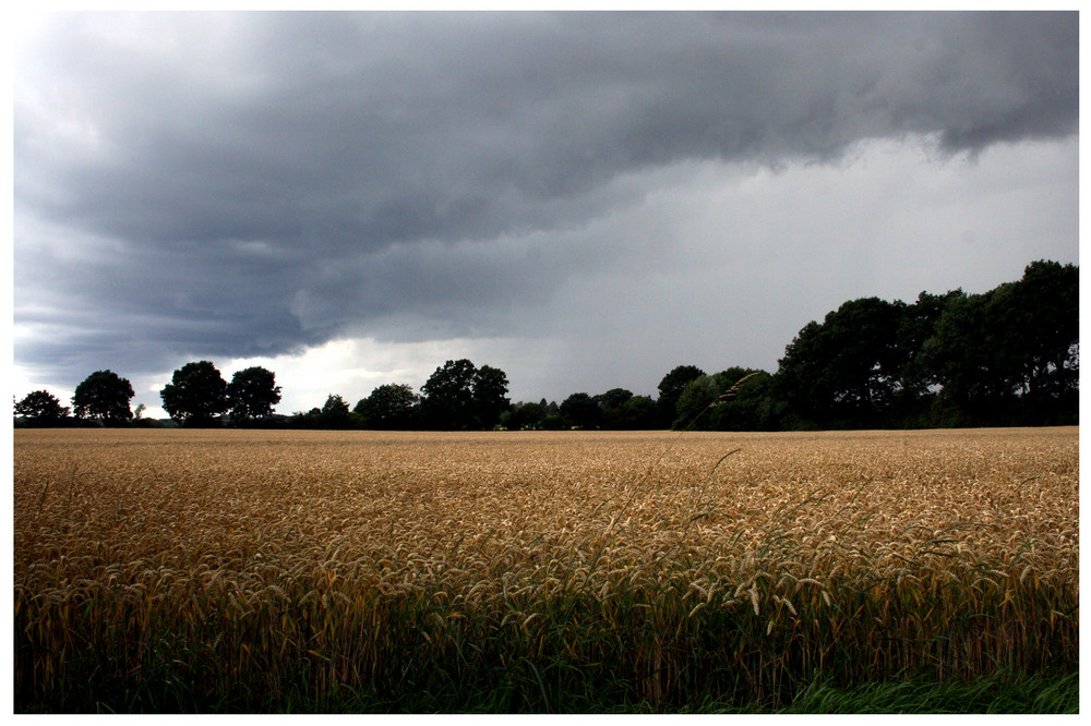 "Die Ruhe vor dem Sturm"