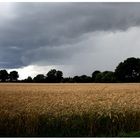 "Die Ruhe vor dem Sturm"