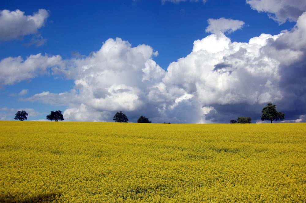 Die Ruhe vor dem Sturm