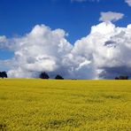 Die Ruhe vor dem Sturm