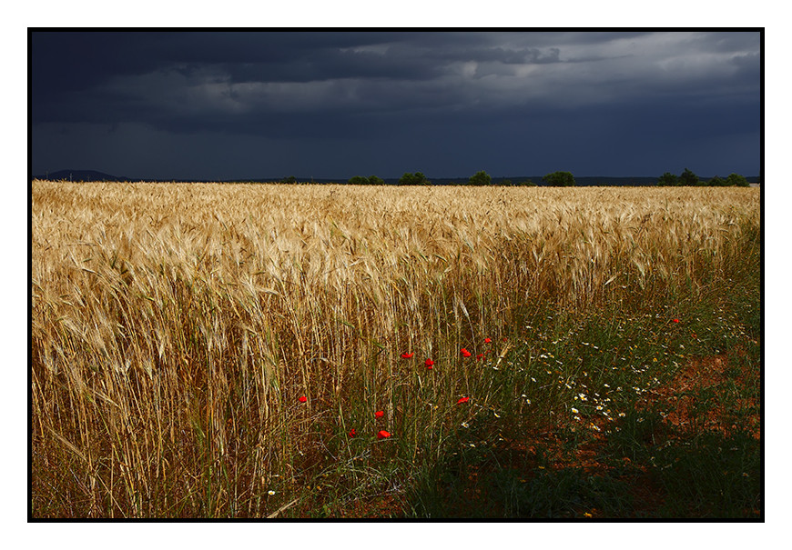 Die Ruhe vor dem Sturm