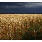 Die Ruhe vor dem Sturm