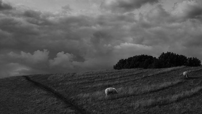 Die Ruhe vor dem Sturm