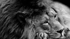 Die Ruhe vor dem Sturm ..