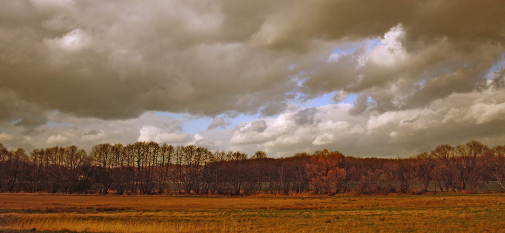 Die Ruhe vor dem Sturm