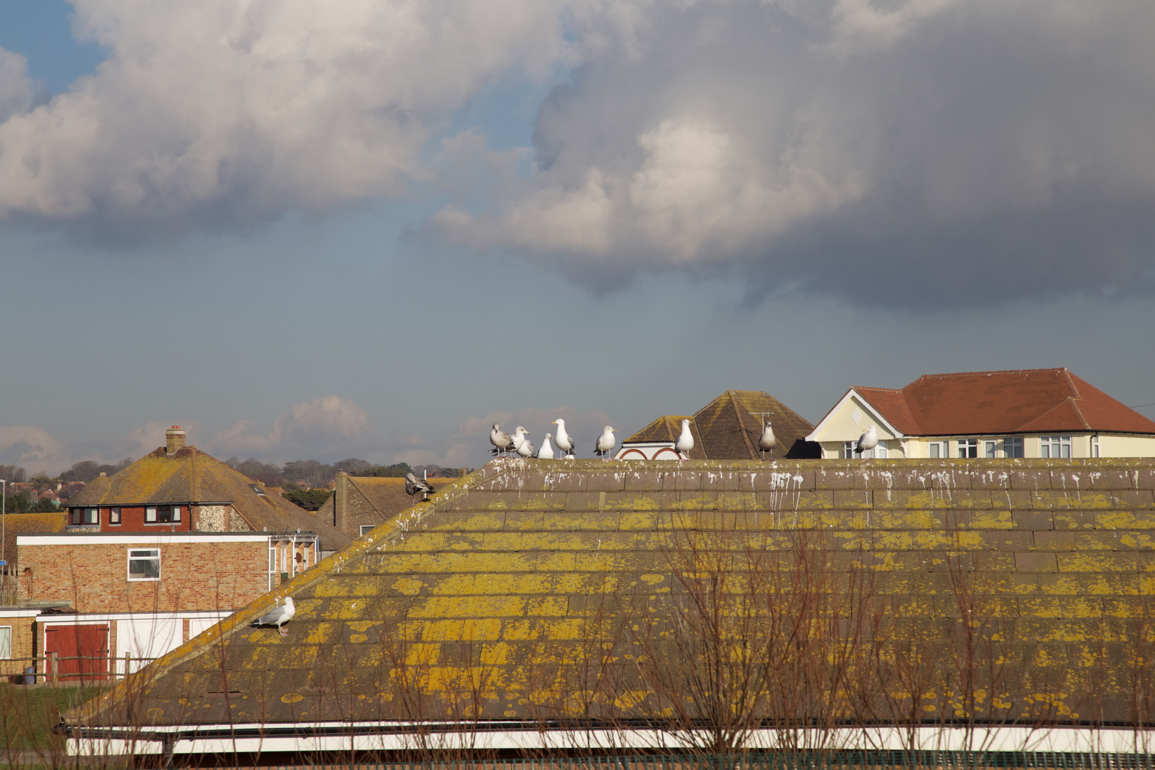 Die Ruhe vor dem Sturm