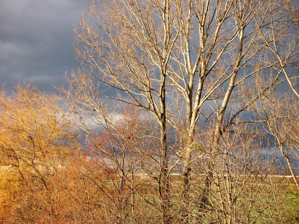 Die Ruhe vor dem Sturm