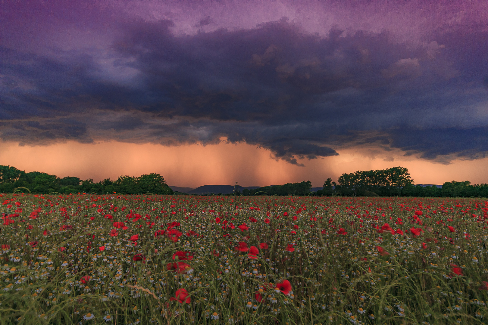 Die Ruhe vor dem Sturm