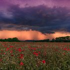 Die Ruhe vor dem Sturm