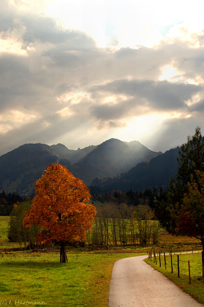 Die Ruhe vor dem Sturm II