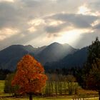 Die Ruhe vor dem Sturm II