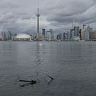 Die Ruhe vor dem Sturm... (Toronto Ontario, Kanada)