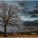 Die Ruhe vor der Sturm