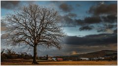 Die Ruhe vor der Sturm