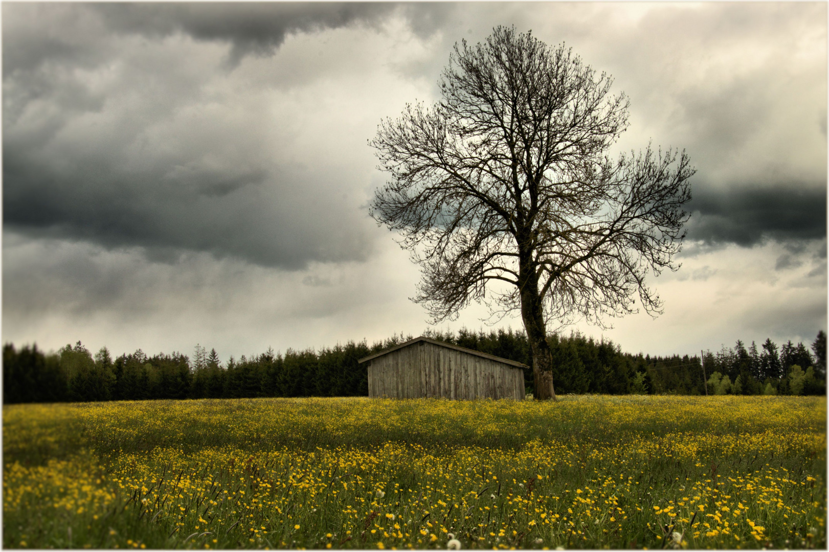 Die Ruhe vor derm Sturm!