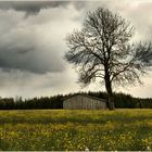 Die Ruhe vor derm Sturm!