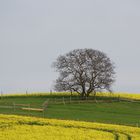 Die ruhende Natur