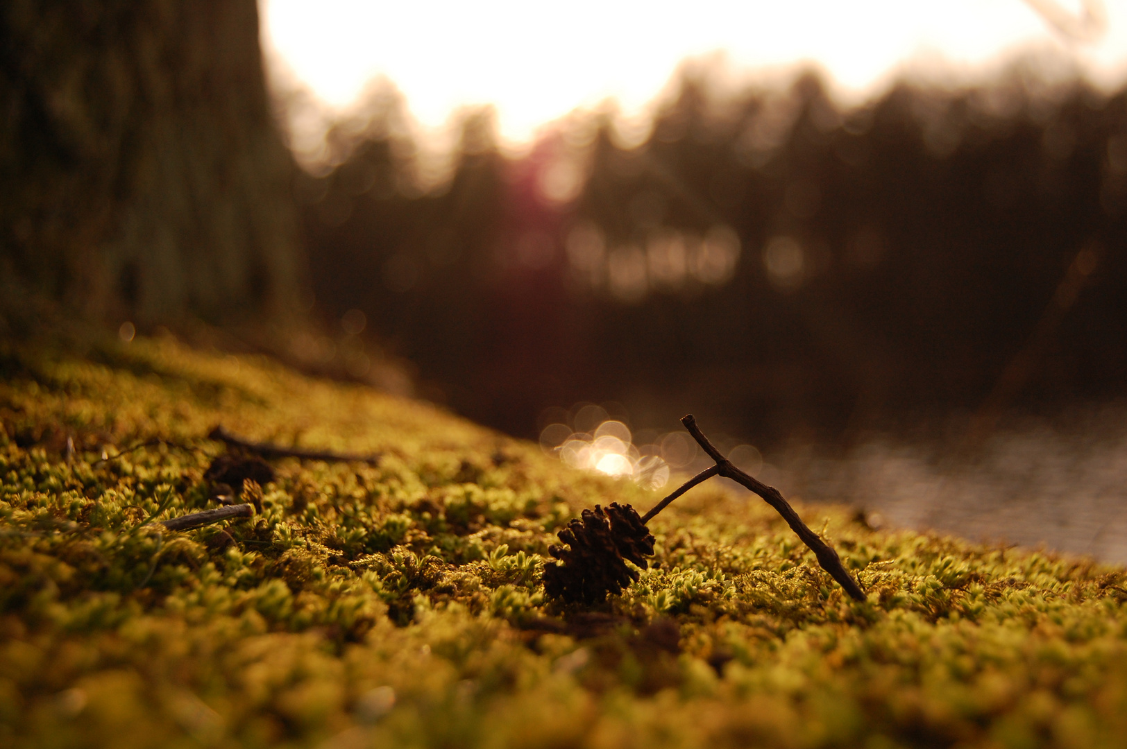 Die ruhige Natur