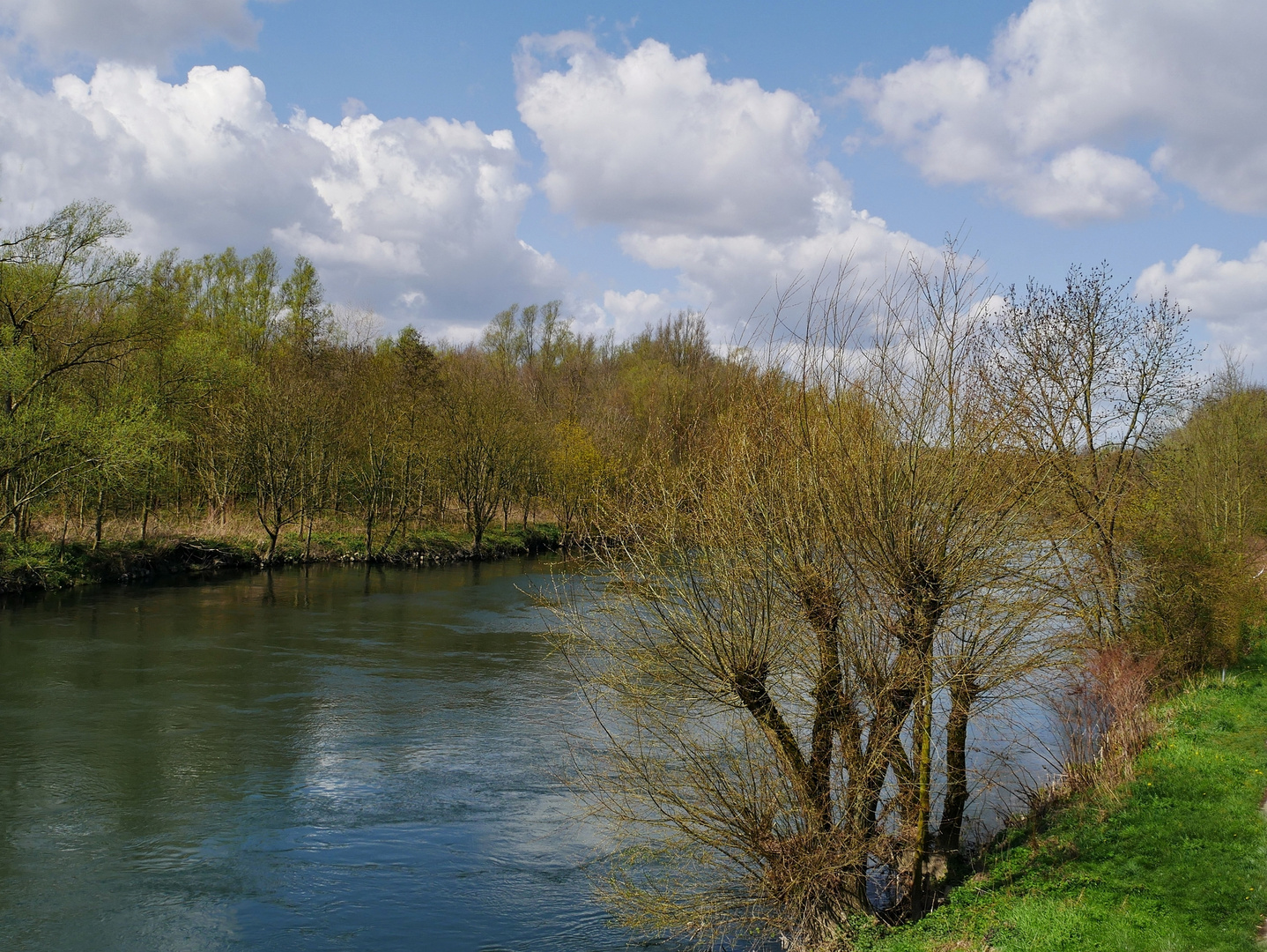 Die Ruhr bei Essen-Holthausen