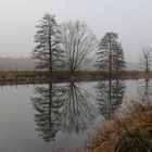 Die Ruhr bei Schwerte-Geisecke