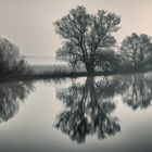 Die-Ruhr-im-Morgennebel