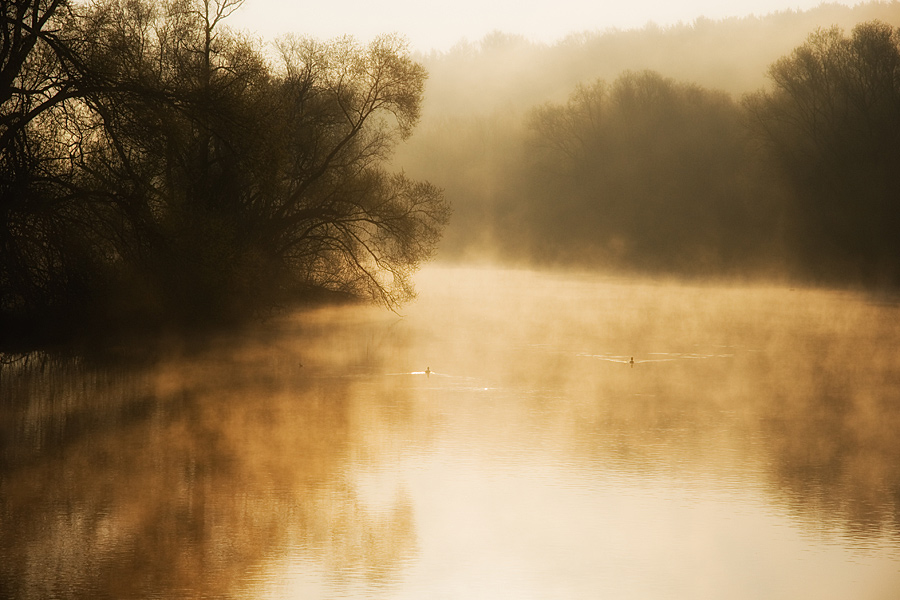 Die Ruhr im Morgennebel