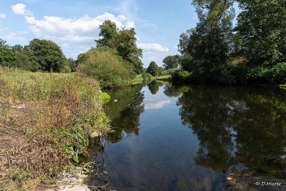 Die Ruhr in Bruchhausen